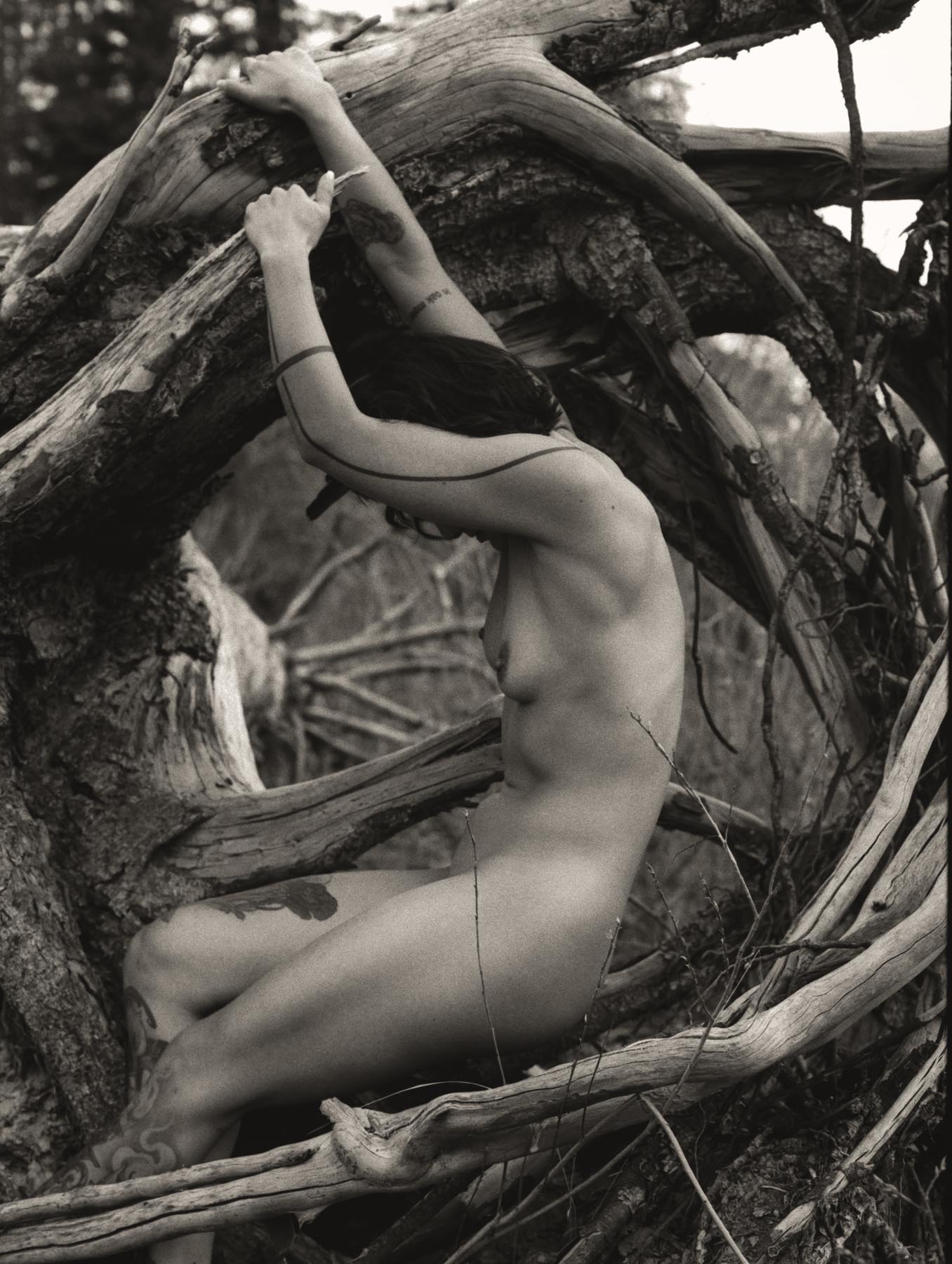 Outdoor Nudes
