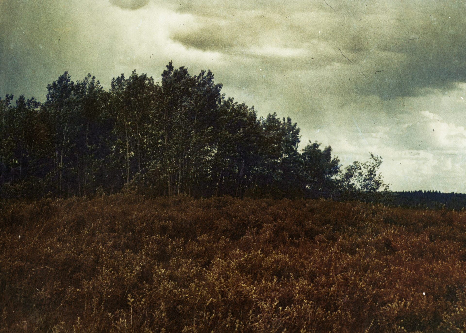 Nature
