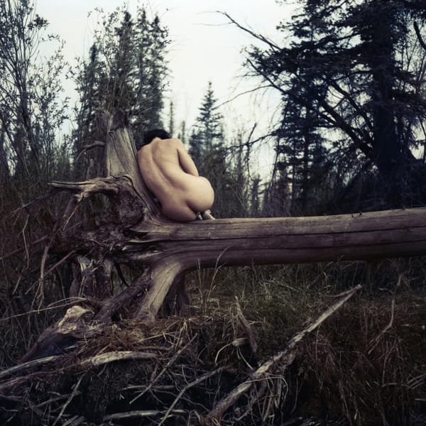 Outdoor Nudes